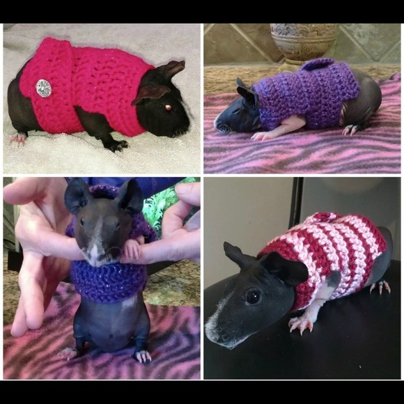 Guinea Pig Clothes, Skinny Pig Sweater - Picture 3 of 3